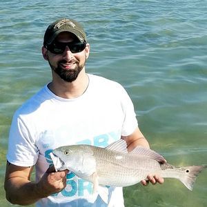 Meet your Posher, Bob